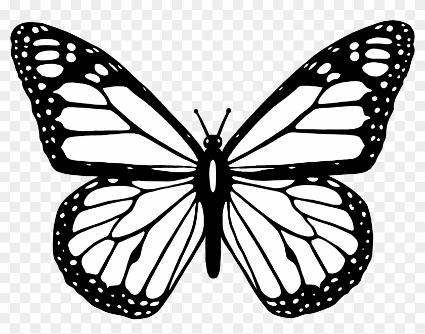 Black And White Butterfly Clipart Images Of - Black And White Butterfly Cartoon - Png Download
