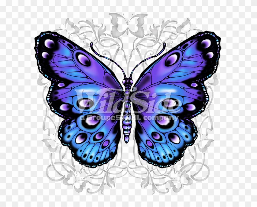 Blue And Purple Butterfly - Butterfly Plus Size T Shirts Clipart #83012