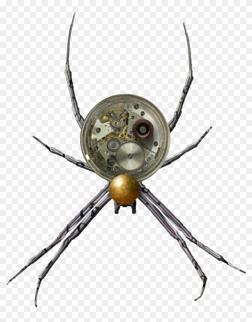 Displaying 20> Images For Steampunk Gear Png - Png Steampunk Bug Transparent Clipart