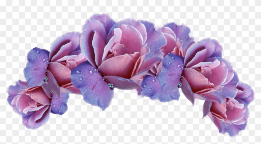Flower Crown Png Picture - Crown Of Flowers Png Clipart #83445