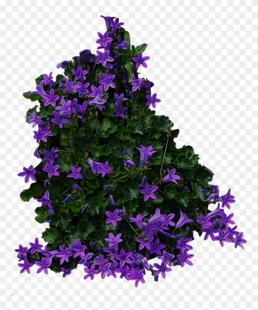 Bush With Purple Flowers Png Image - Flower Bush Transparent Background Clipart #83511