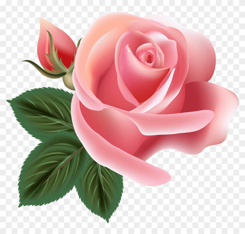 Pink Rose Clip Art Png Image - Pink Rose Clip Art Png Transparent Png #84125