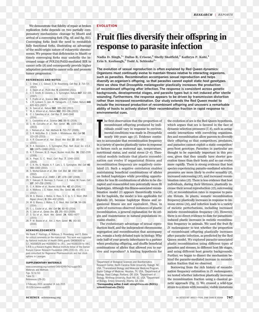 Folio Three From Burchard Of Sion's De Locis Ac Mirabilibus Clipart