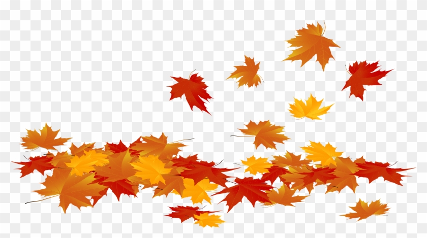 Transparent Fall Leaves Png Clipart #84227