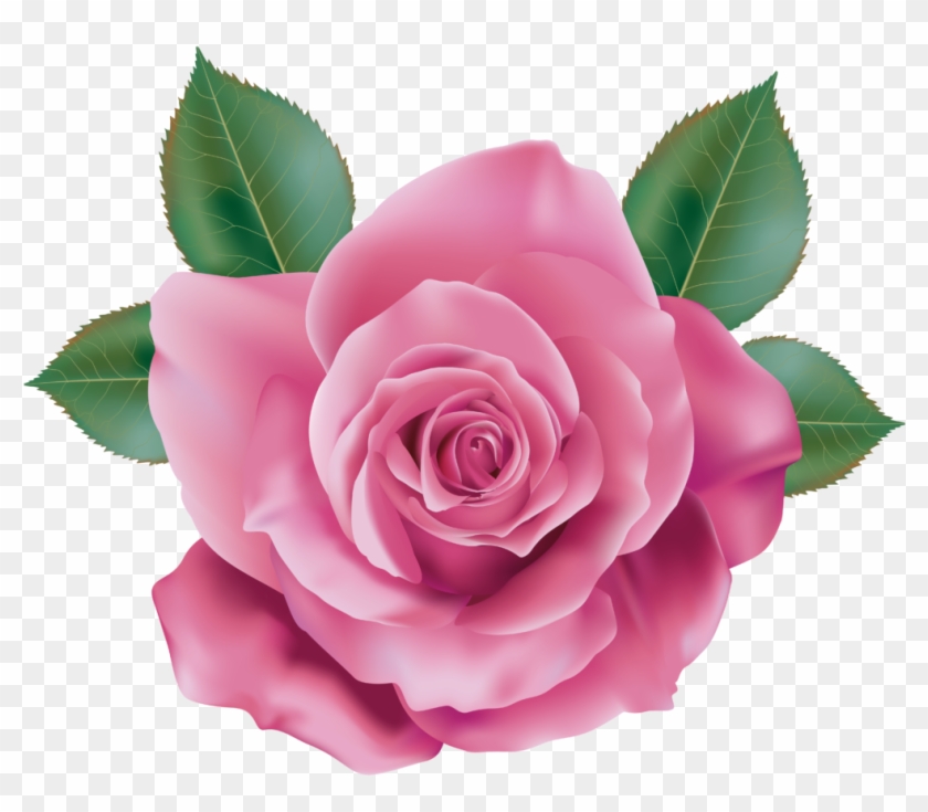 Download Pink Rose Png Images Background - Rose Png Clipart #84410