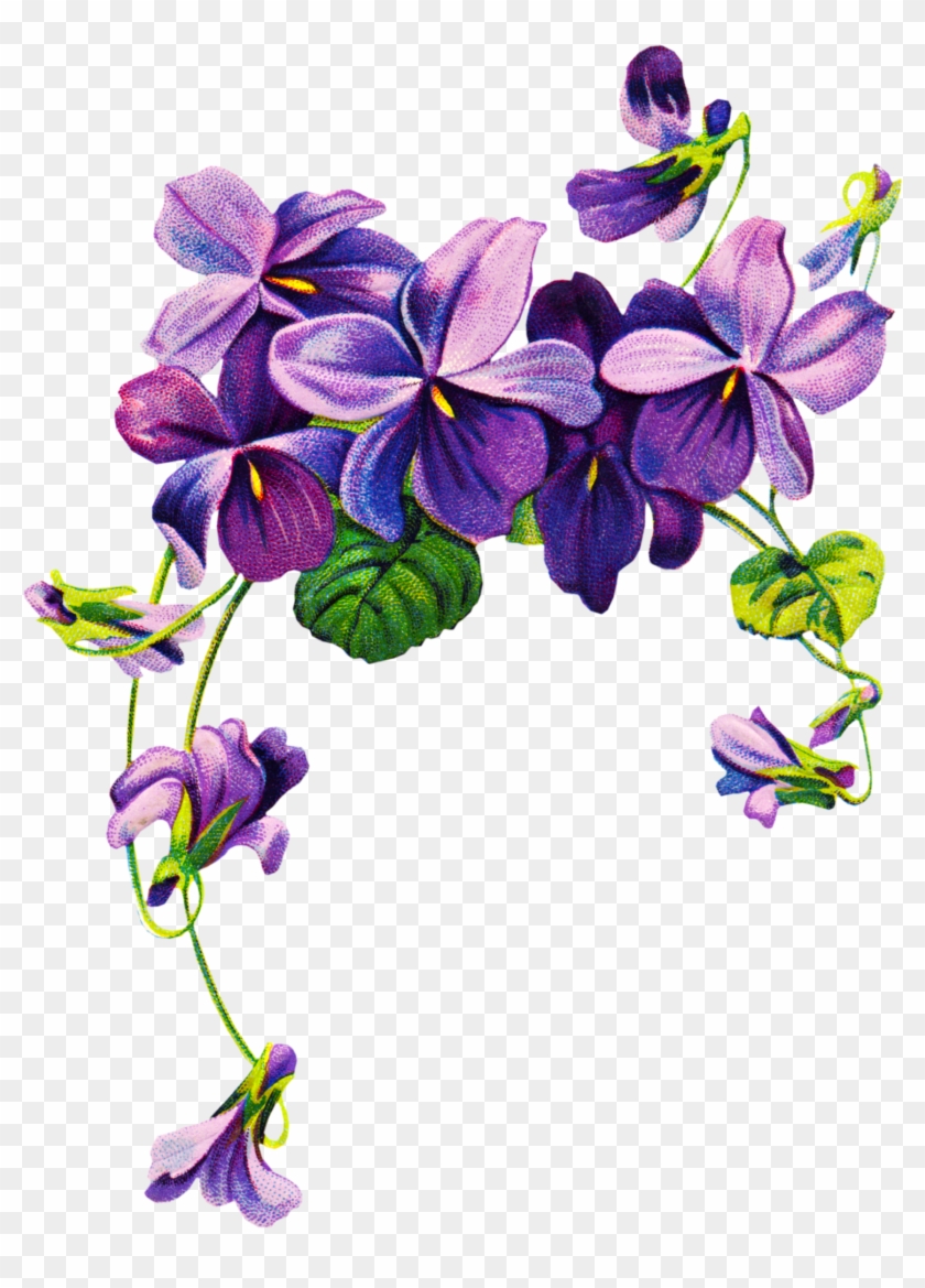 Violets Vintage Clipart Tatoo - Violet Tattoos Designs - Png Download #84411