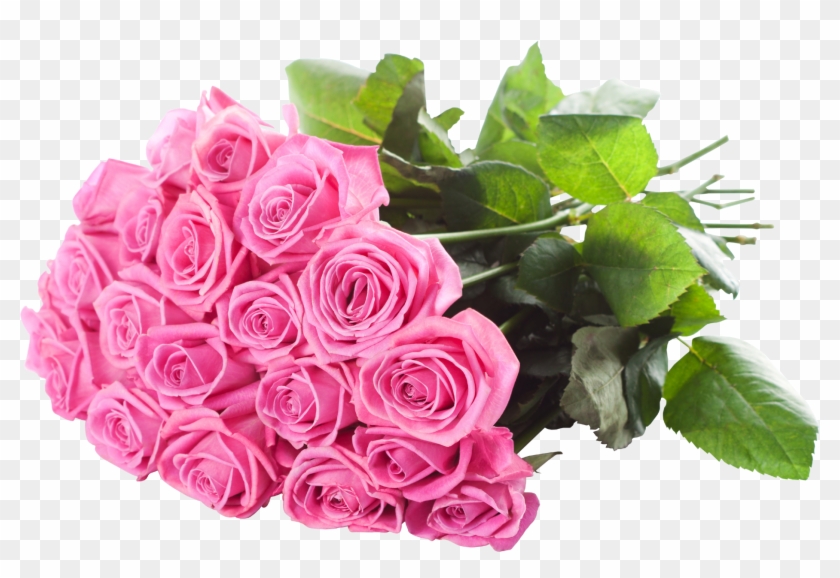 Bunch Of Pink Rose Clipart #84527
