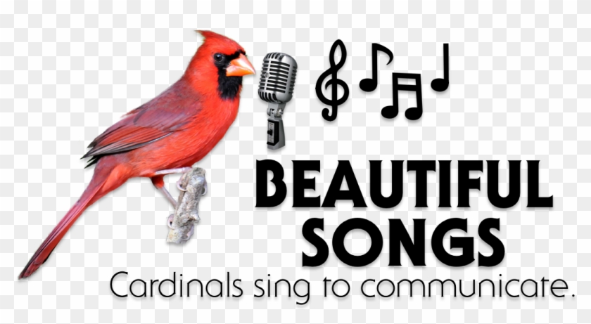 Cardinal Png Alpha - Shure Super 55 Clipart #84598