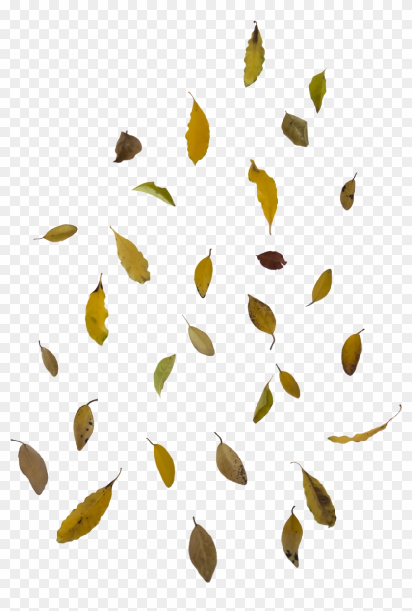 Falling Autumn Leaves Free Png Image - Falling Leaves Png Clipart #84977