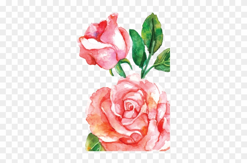 15 Pink Watercolor Roses Png For Free Download On Mbtskoudsalg - Watercolor Rose Flower Png Clipart