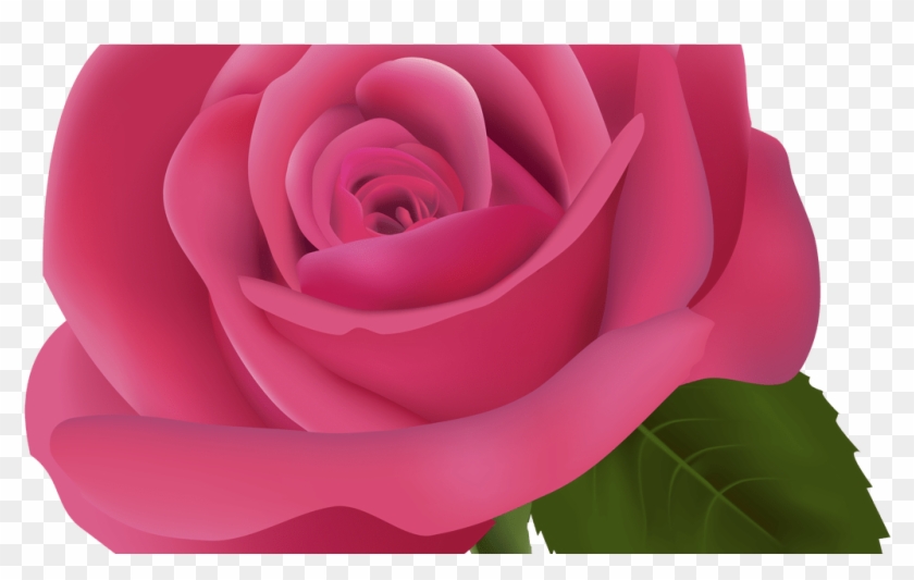 Pink Rose Png Clipart Image Best Web Clipart - Bunga Mawar Gambar Bunga Png Transparent Png
