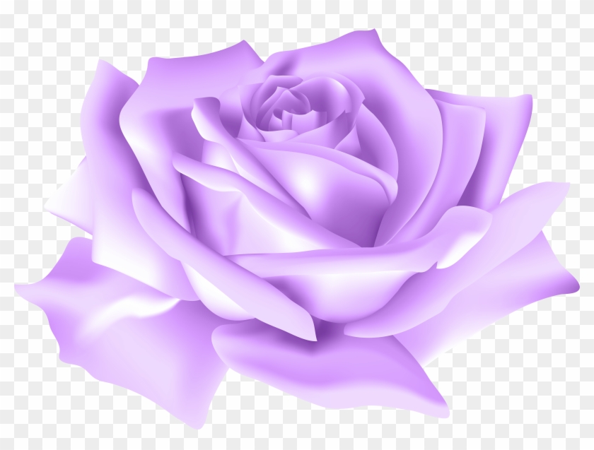Free Png Download Purple Rose Flower Png Images Background - Pink Rose Png Transparent Clipart #85328