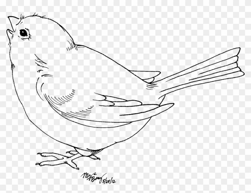 Cardinal Clipart Line Drawing - Pajaros Blanco Y Negro - Png Download