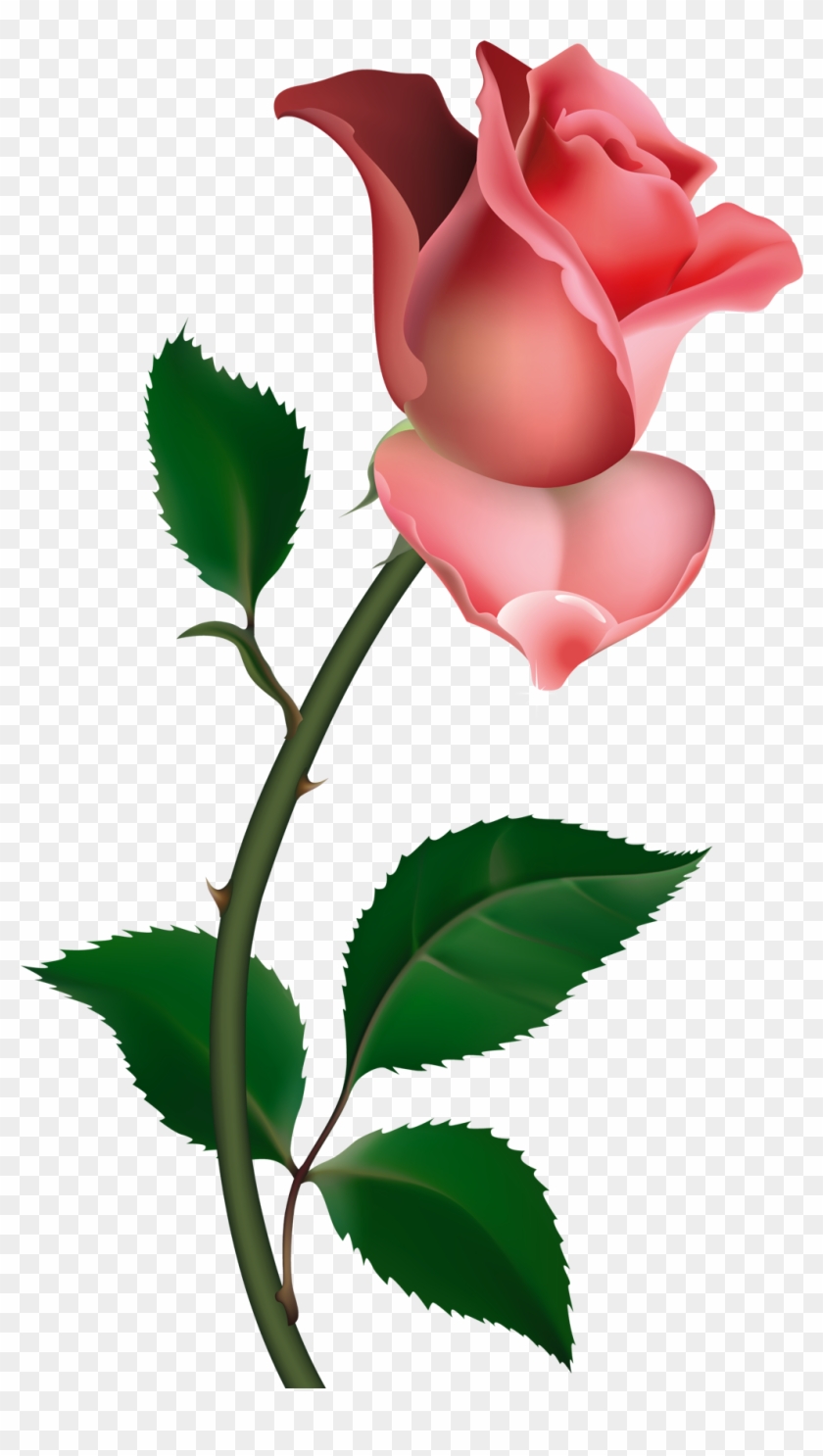 Free Icons Png - Pink Rose Clipart Transparent Png