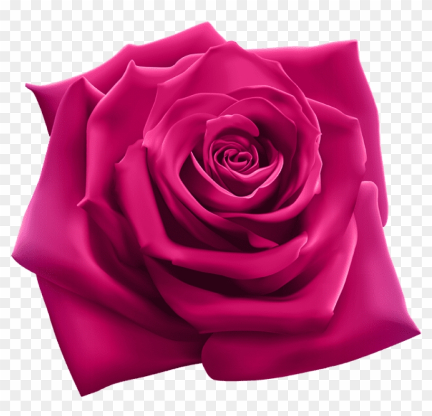 Free Png Download Pink Rose Png Images Background Png - Snoop Dogg 220 Clipart #85643