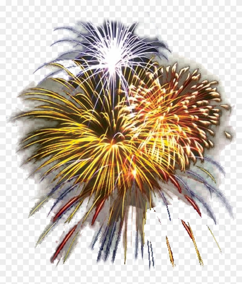 Biggest 4th Of July Celebration - Happy New Year 2011 Clipart #85749