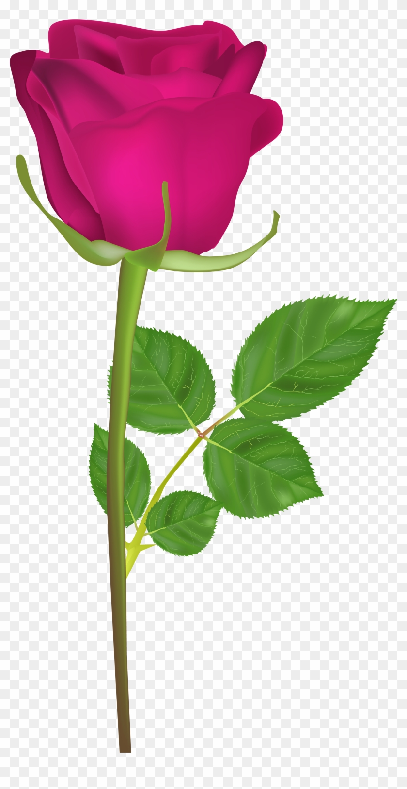 Clipart Library Stock With Pink Png Clip Art Image - Happy Birthday Marathi Gif Transparent Png