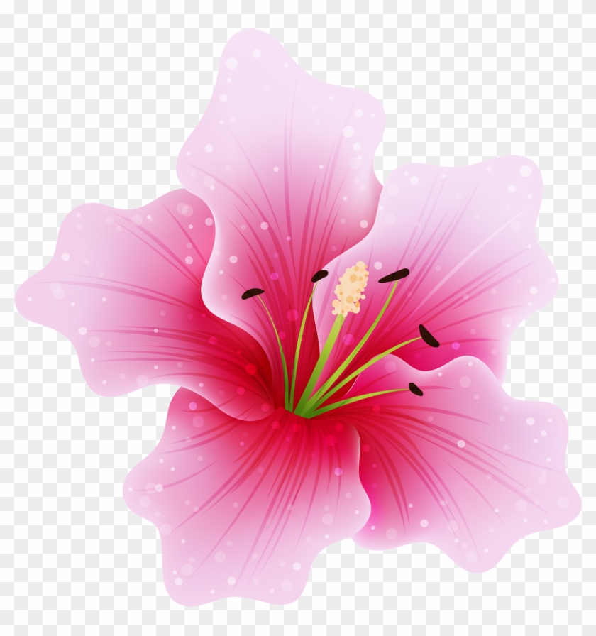 Flower Png Free - Fuschia Flowers Clipart Transparent Png #85839