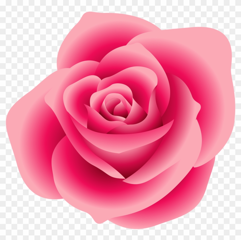 Free Png Download Large Pink Rose Png Images Background - Free Pink Rose Clipart Transparent Png #86058