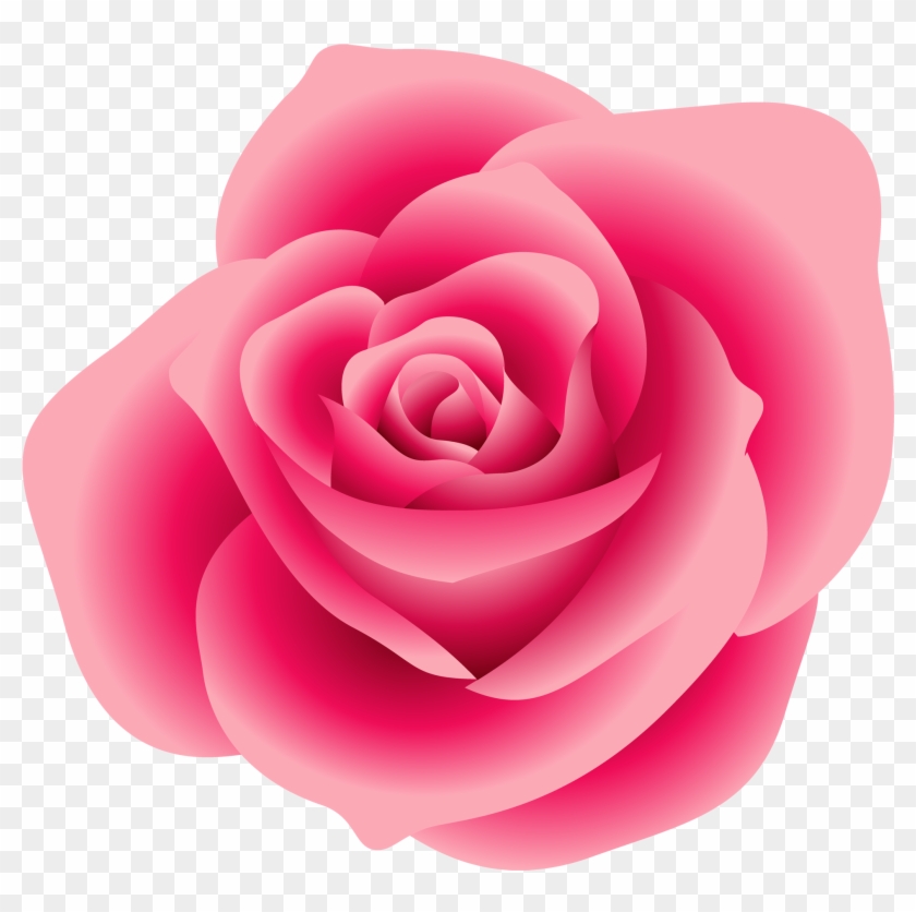 Free Png Download Large Pink Rose Png Images Background - Free Pink Rose Clipart Transparent Png