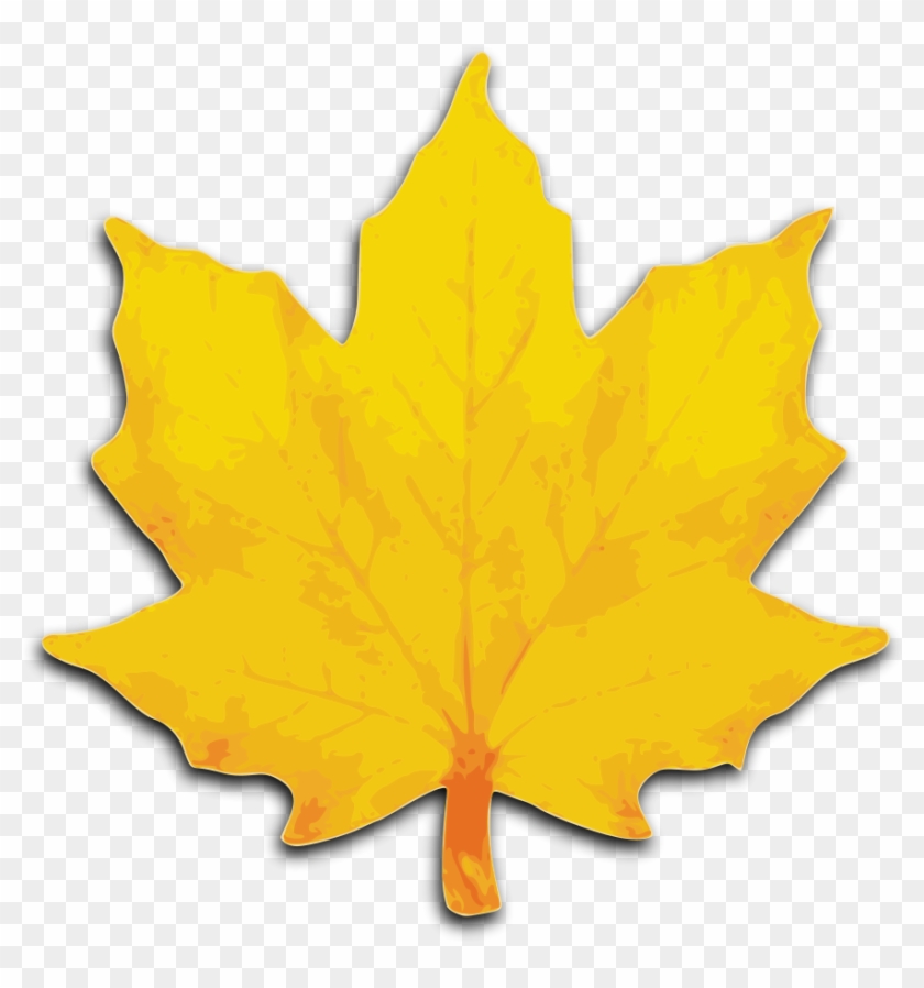 Leaf Clipart, Download Leaf Clipart - Maple Leaves Clip Art - Png Download
