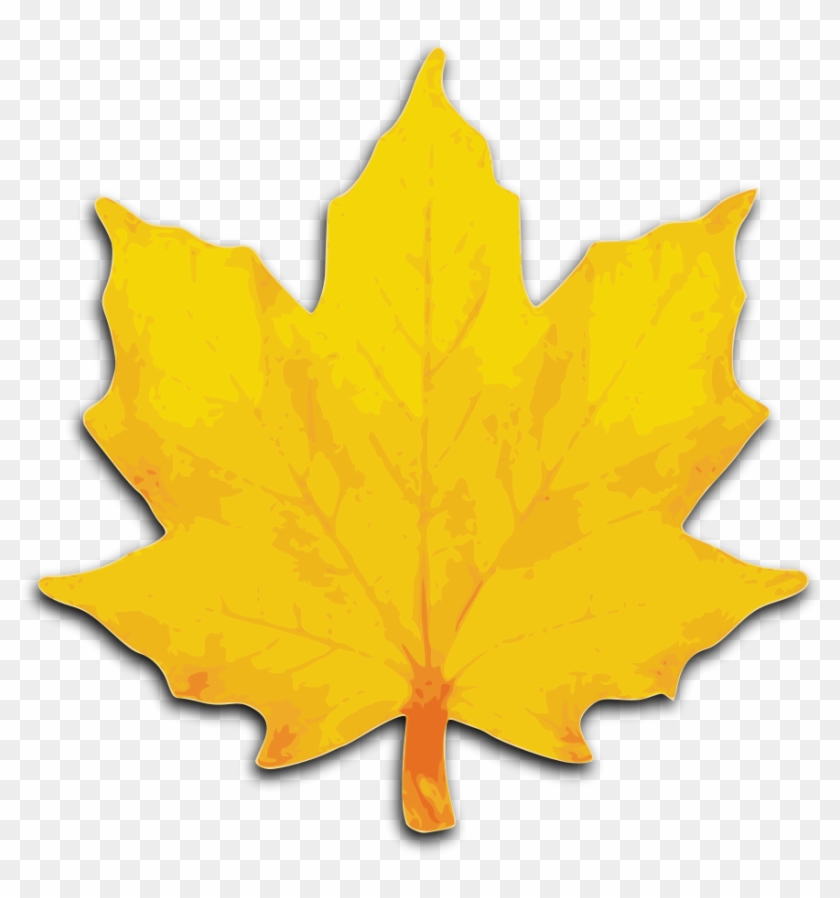 Leaf Clipart, Download Leaf Clipart - Maple Leaves Clip Art - Png Download #86306