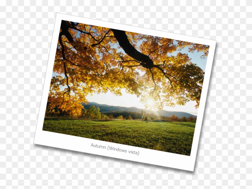 Autumn-leaves - Autumn Leaves Clipart #86428