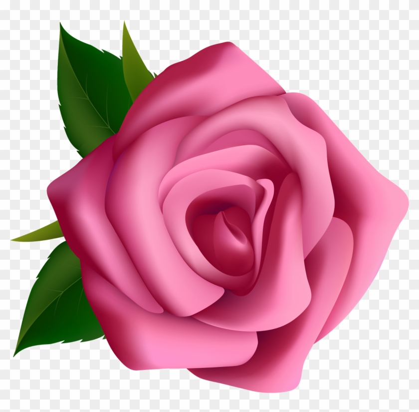 Free Png Download Pink Rose Png Images Background Png - Free Clipart Pink Rose Transparent Png