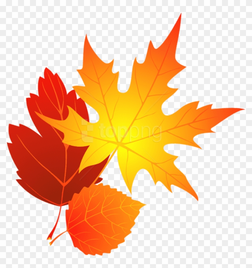 Jpg Freeuse Transparent Leaves Gallery Yopriceville - Transparent Background Fall Leaves Clipart - Png Download