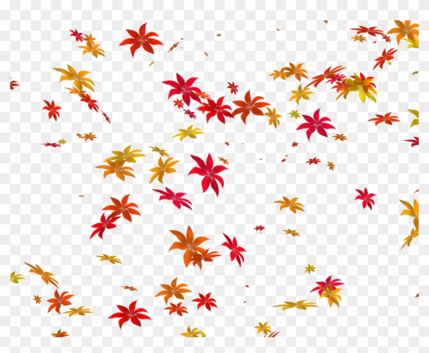 1024 X 796 12 0 - Flowers Falling Transparent Background Clipart