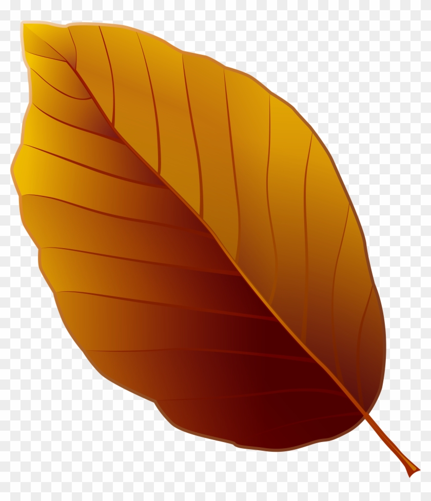 Autumn Leaf Png Clipart Image High - Brown Leaf Clip Art Transparent Png #86669