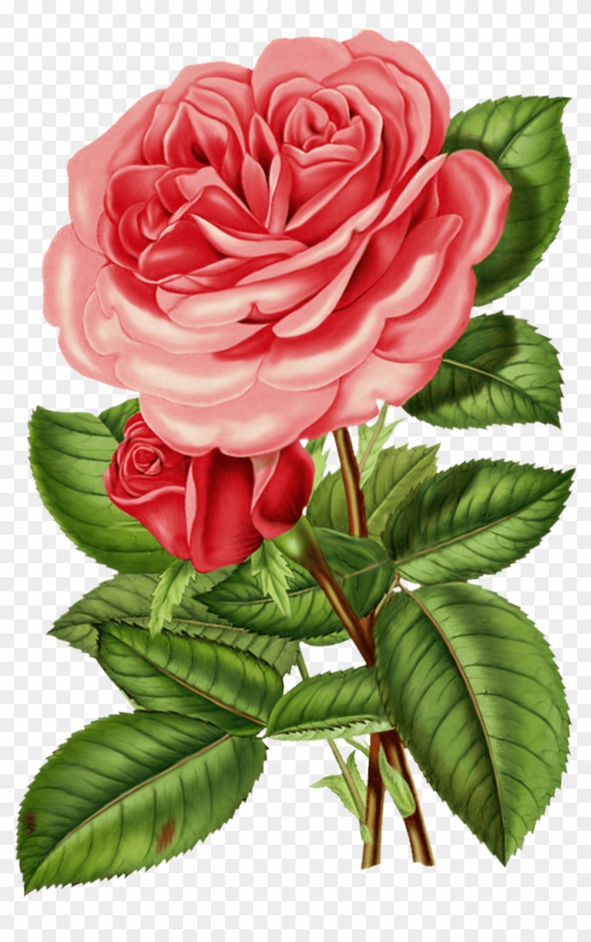 Beautiful Flower Good Night Clipart