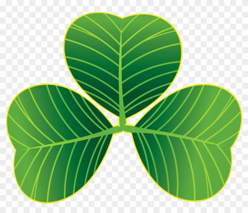 St Patricks Day Shamrocks Png Clipart - Saint Patrick's Day Transparent Png #86887