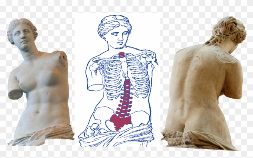 Anterior View Of The Venus De Milo - Venus De Milo Clipart