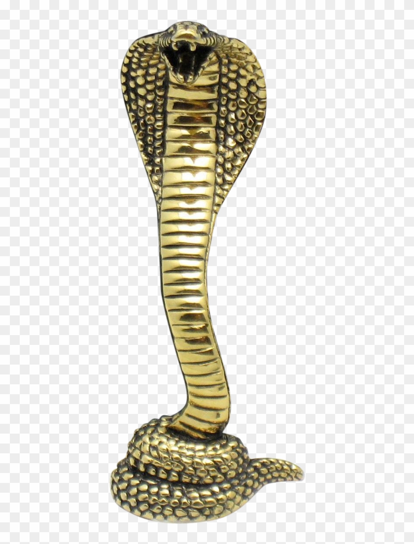 Cobra Snake Png Hd - Snake Png Hd Clipart