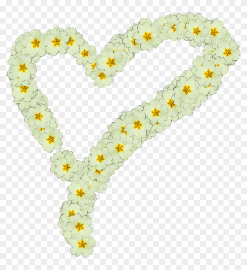 Heart Made Of White Flowers - Kankalin Png Clipart #86983