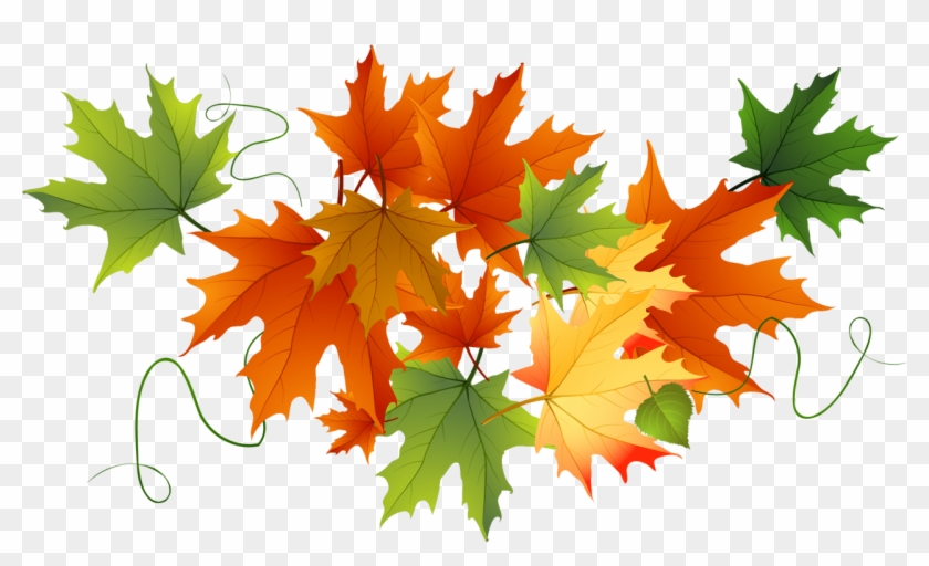 1319 X 774 8 - Pumpkin Transparent Thanksgiving Png Clipart #87153