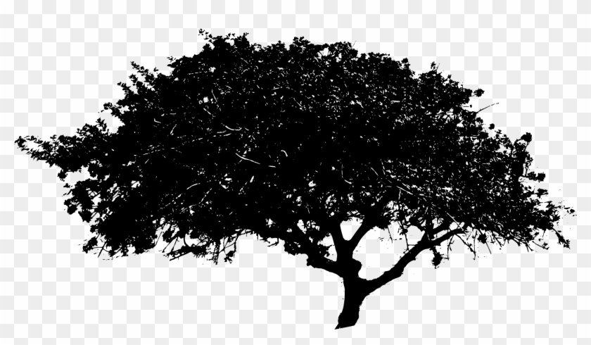 Free Download - Black And White Tree Png Clipart #87154