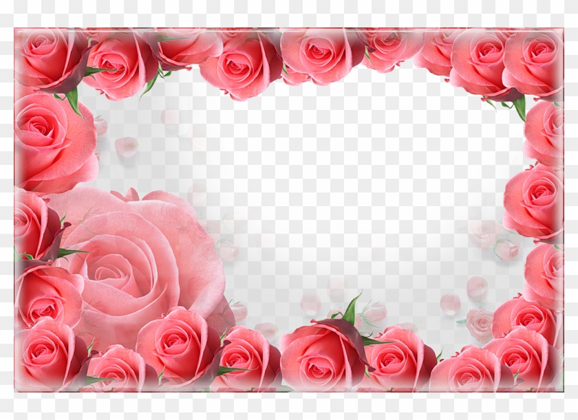Clipart Frames Pink Rose - Voščilo Za 50 Rojstni Dan - Png Download #87218