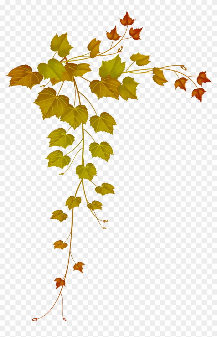 Decorative Clipart Falling Leave - Leaves Frame Png Transparent Png