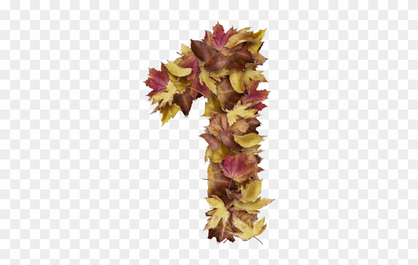 1 Number With Dry Leaves - Artificial Flower Clipart