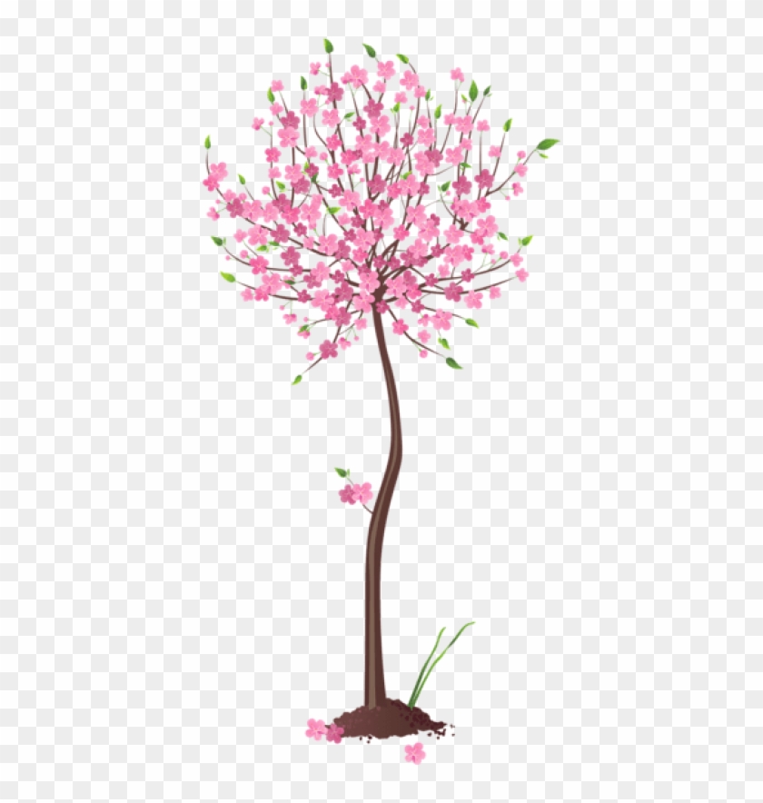 Free Png Download Spring Pink Tree Png Images Background - Spring Trees Flowers Transparent Background Clipart #87756