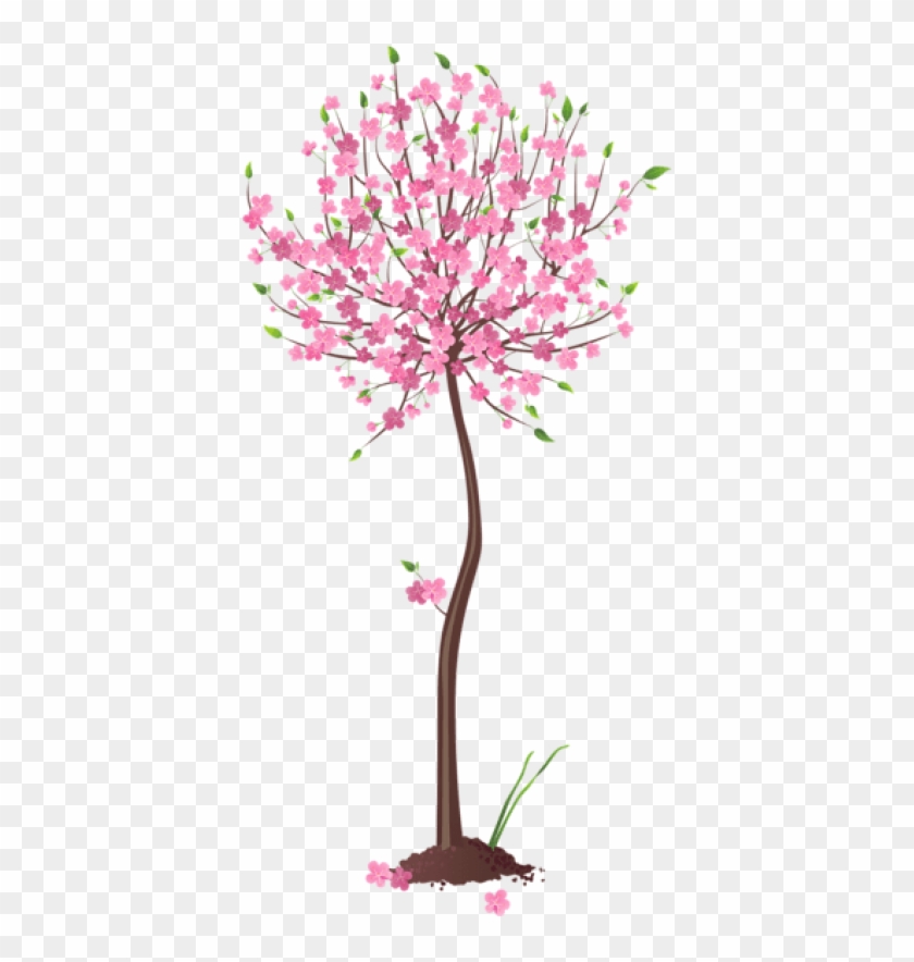 Free Png Download Spring Pink Tree Png Images Background - Spring Trees Flowers Transparent Background Clipart