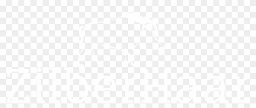 Premium Beard Care Clipart #87920