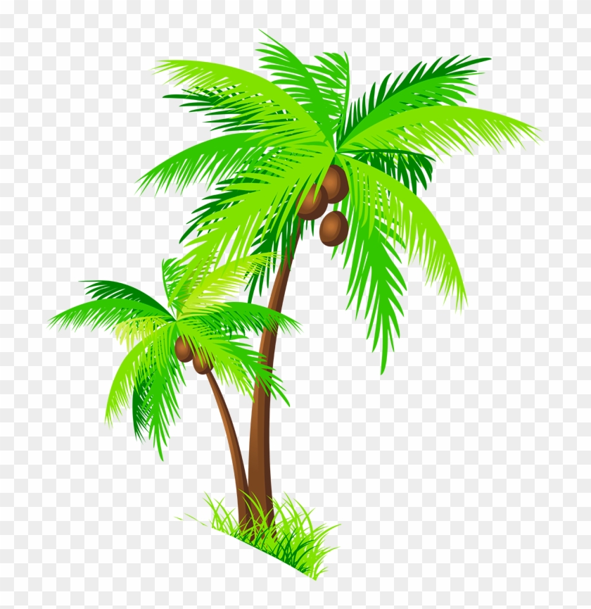 Coconut Tree Png - Clip Art Coconut Tree Transparent Png