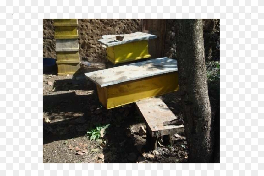 Types And Placement Of Beehive - Honeybee Clipart