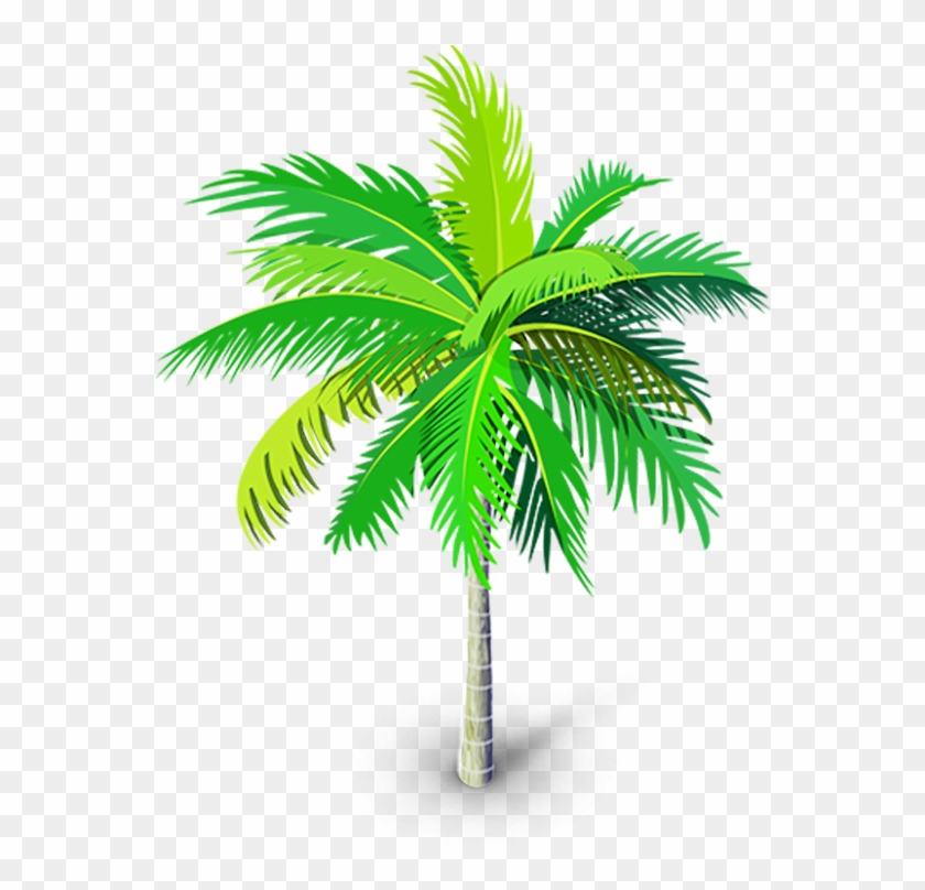 Palm Tree Png - Palm Tree Vector Png Transparent Background Clipart #88929