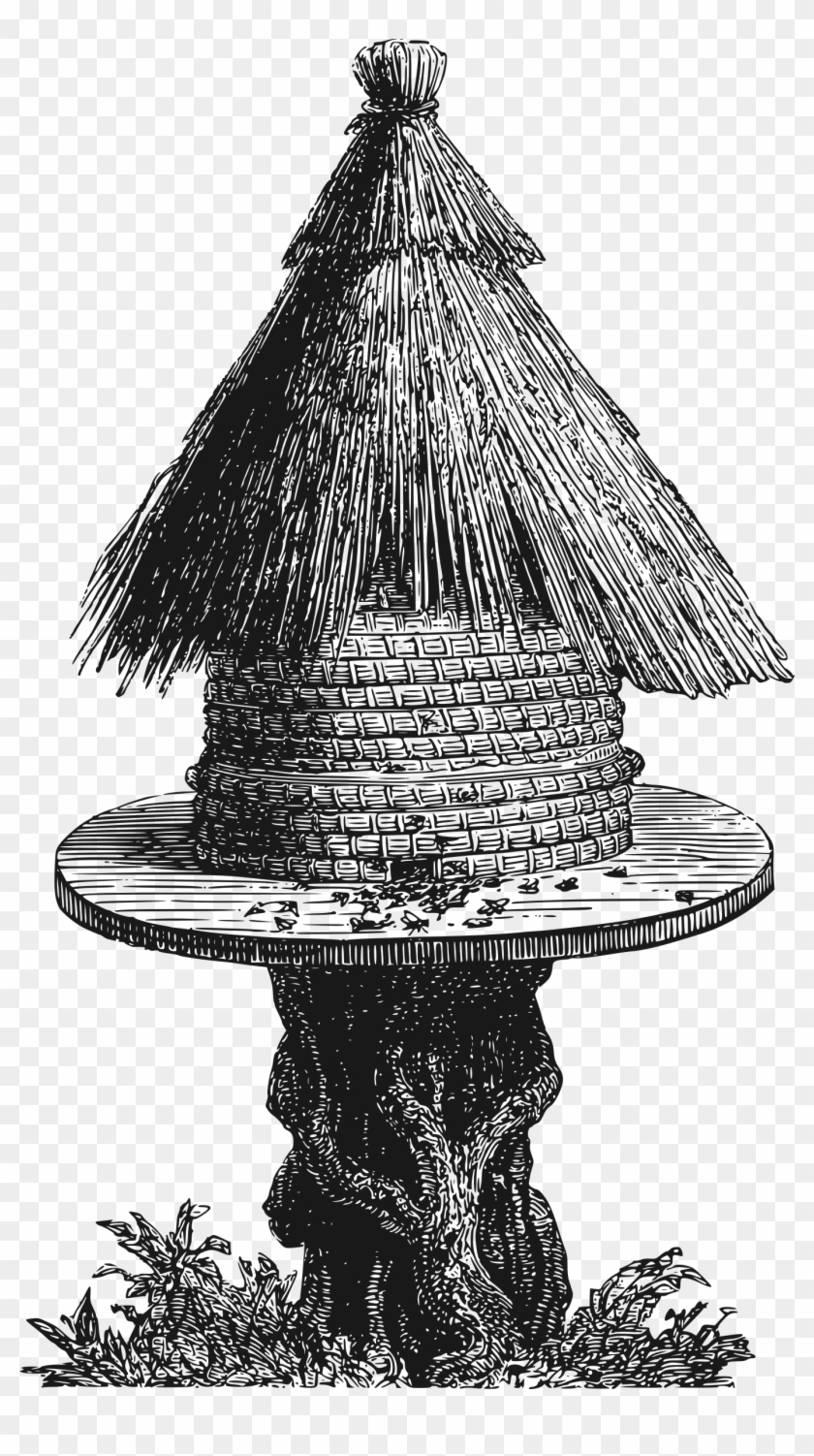 Big Image - Clip Art - Png Download