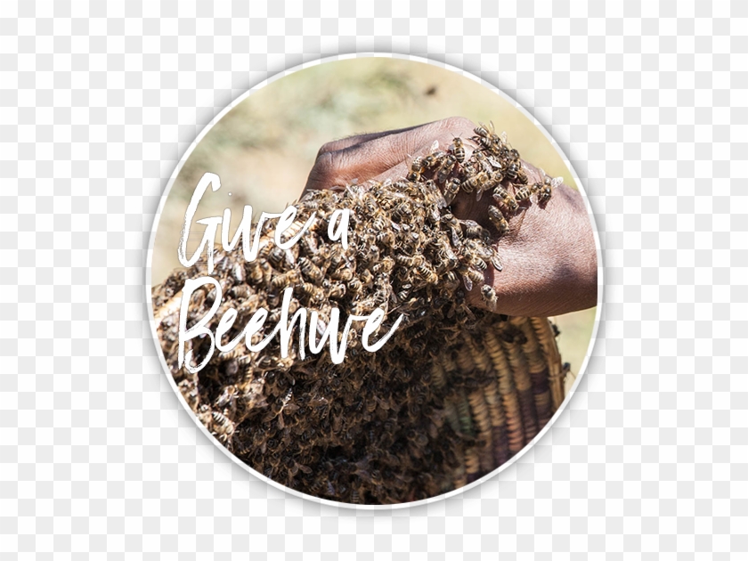 Beehive - Snake Clipart #89155