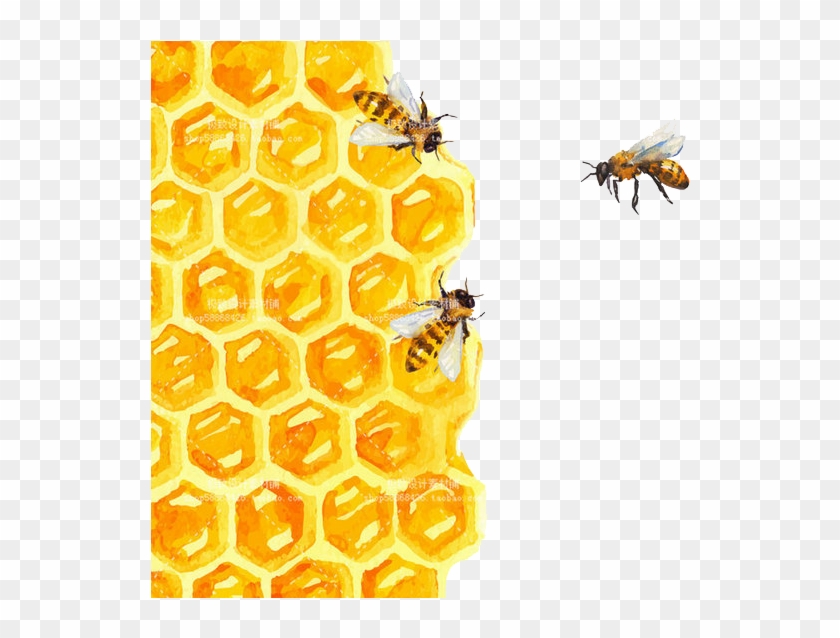Svg Royalty Free Bee Honeycomb Painting Illustration - Watercolor Honeycomb Clipart #89219